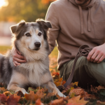 Chien adoptif exprimant confiance et calme avec son maître