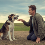 Un chien apprenant à fetch avec son maître, transmettant complicité et obéissance.